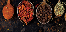 Spiceology thumbnail