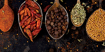 Spiceology thumbnail