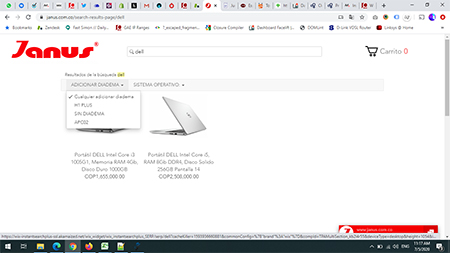 e-commerce website with Search Results - After Enter is pressed