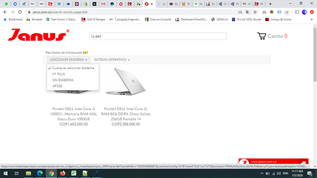 e-commerce website with Search Results - After Enter is pressed