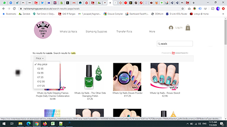e-commerce website with Search Results - After Enter is pressed, using Pricing filter to filter the results
